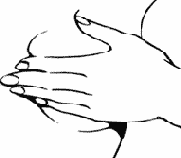  >   ( 1)